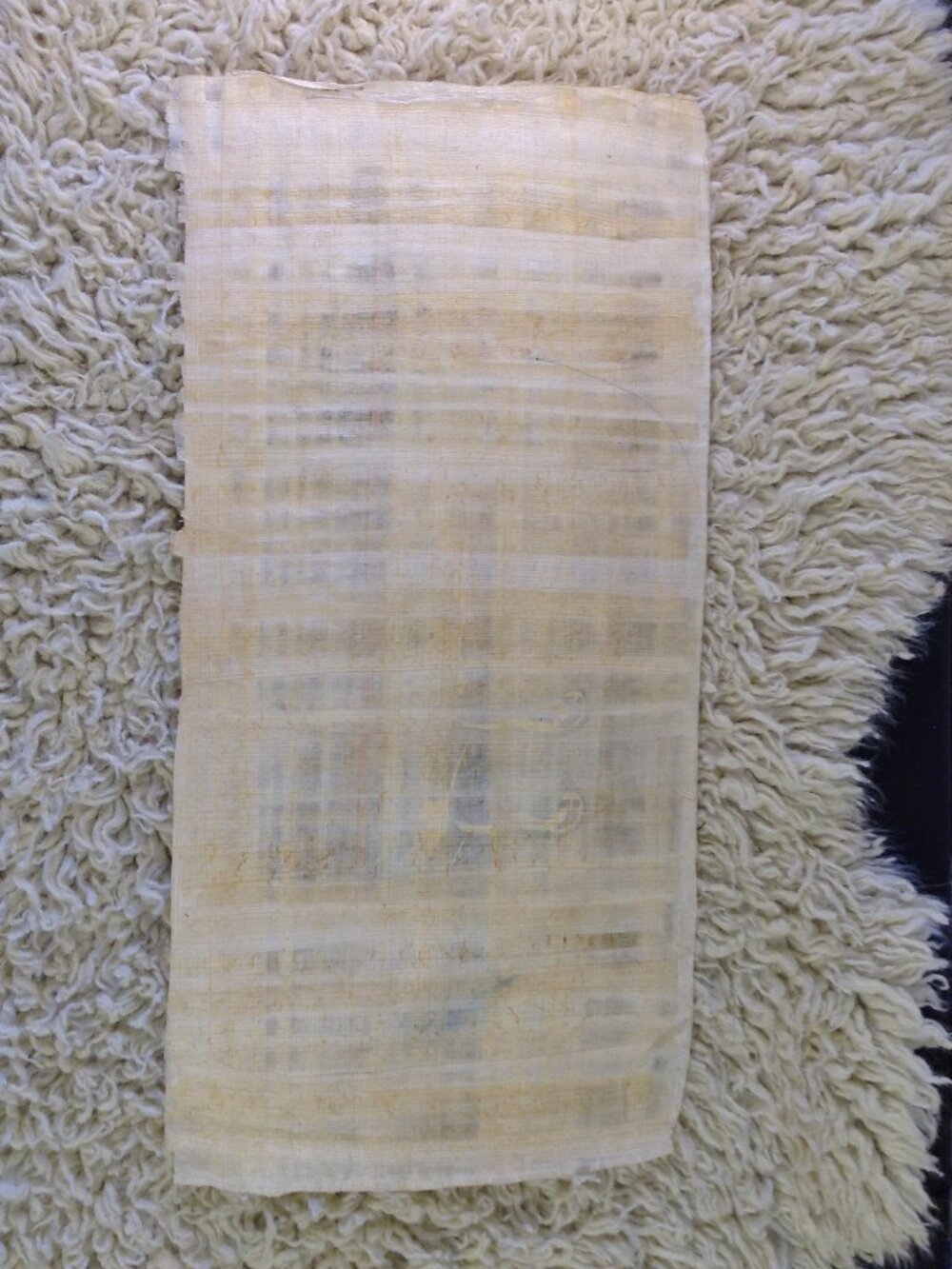VTG '90's Papyrus Painted Classic Egyptian Signed 8x16 paper Nile Ducks Studio - Picture 5 of 7
